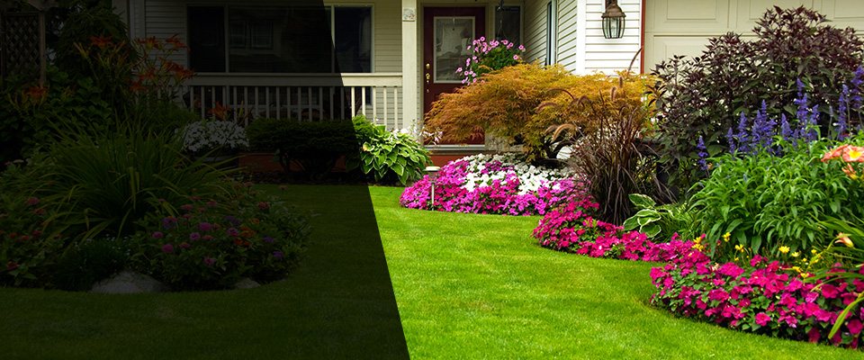 Orient Landscapers