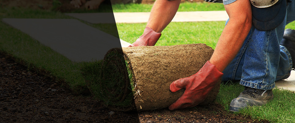 Orient Landscapers